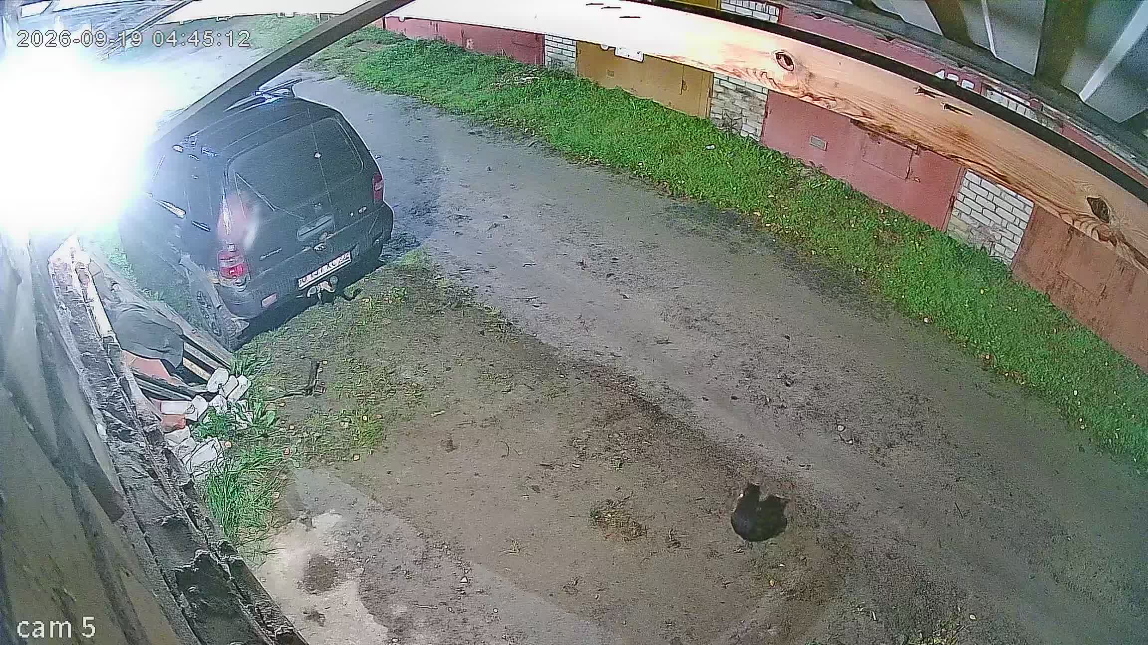 Камера 1 — 19.09.2026 01:45:12