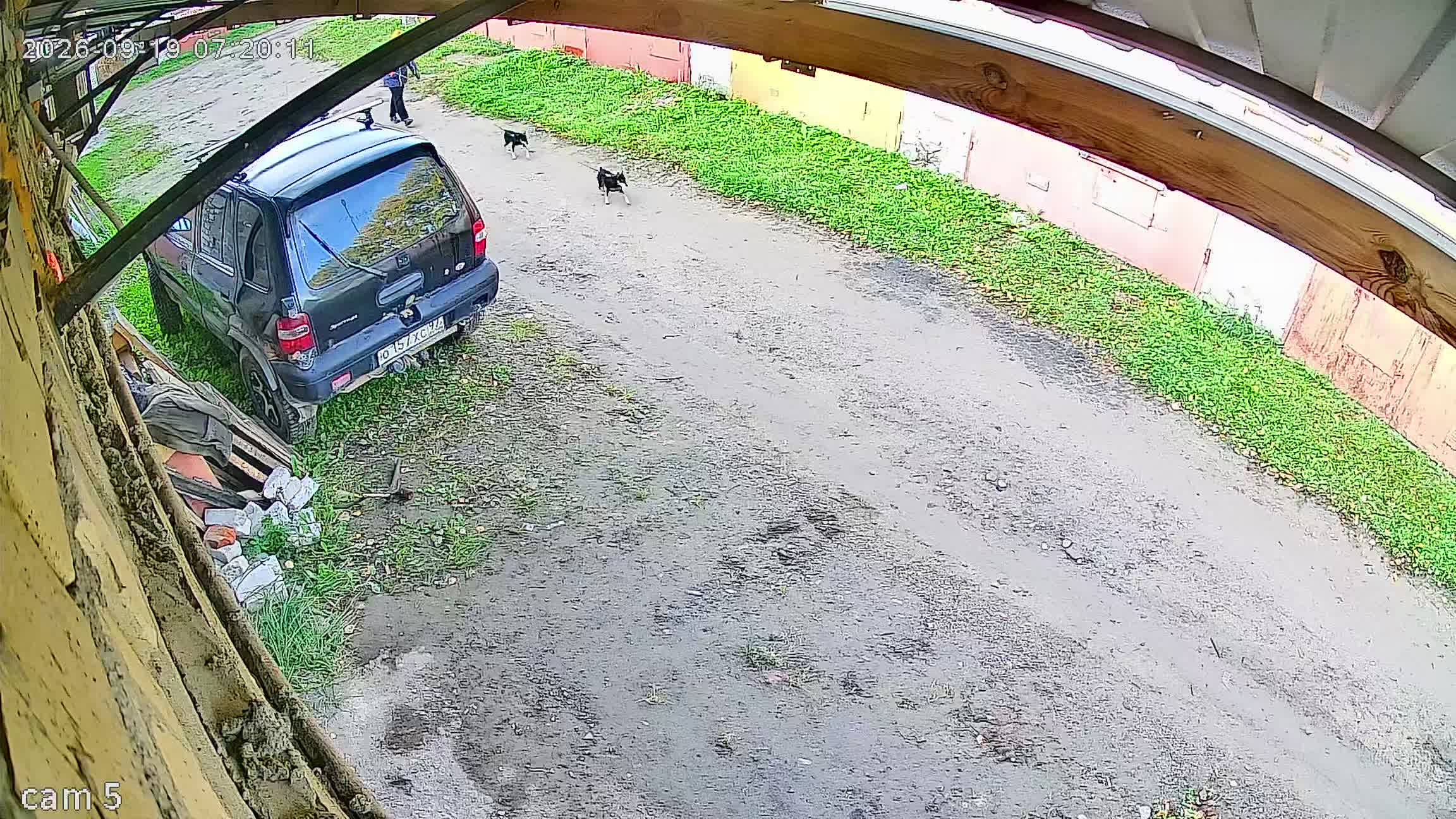 Камера 1 — 19.09.2026 04:20:11