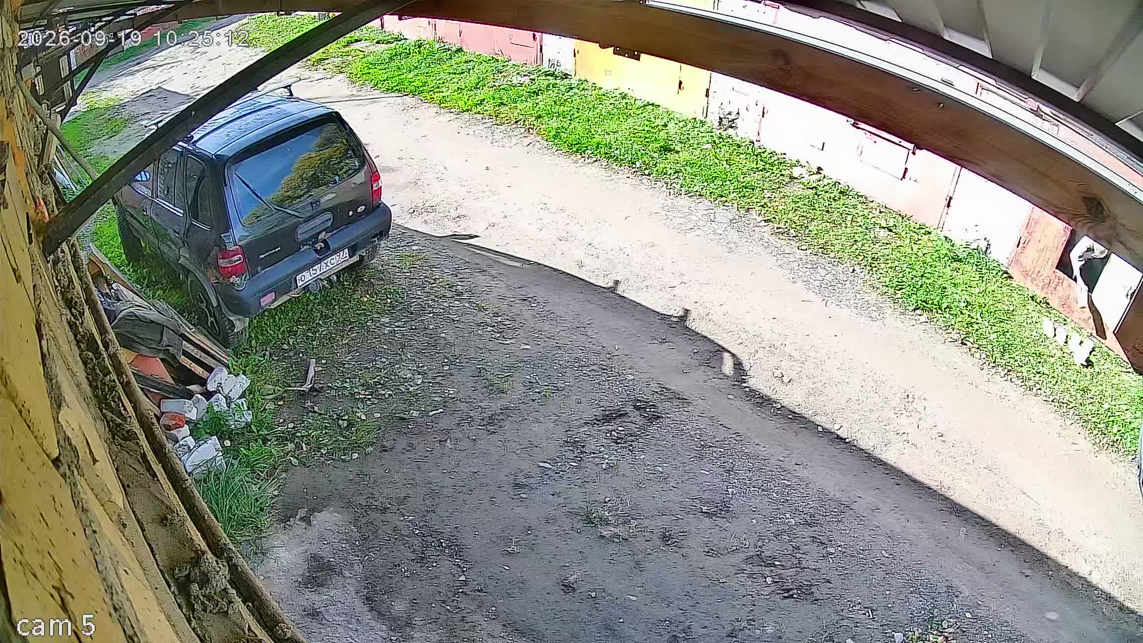 Камера 1 — 19.09.2026 07:25:11