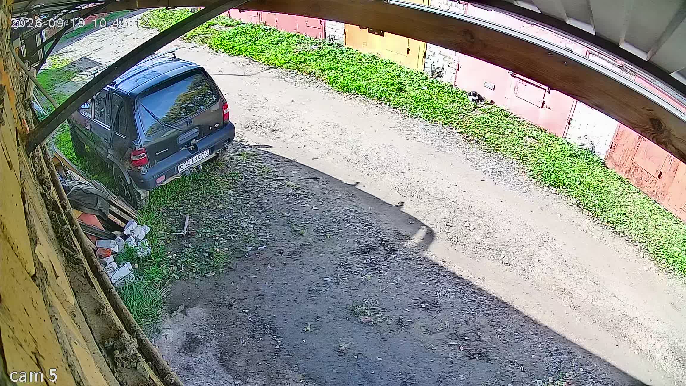 Камера 1 — 19.09.2026 07:45:11