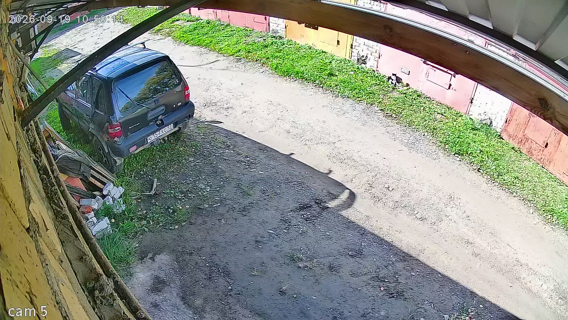 Камера 1 — 19.09.2026 07:50:12