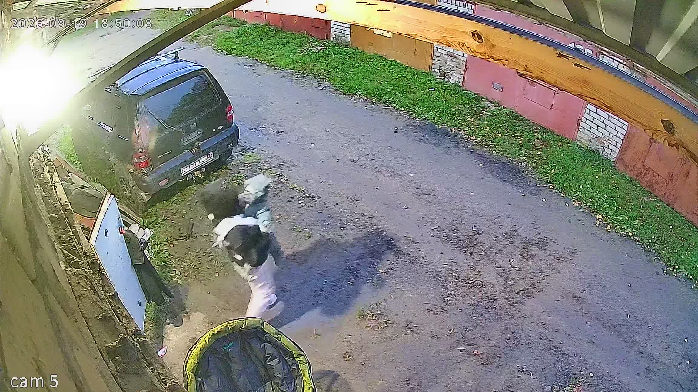 Камера 1 — 19.09.2026 15:50:11