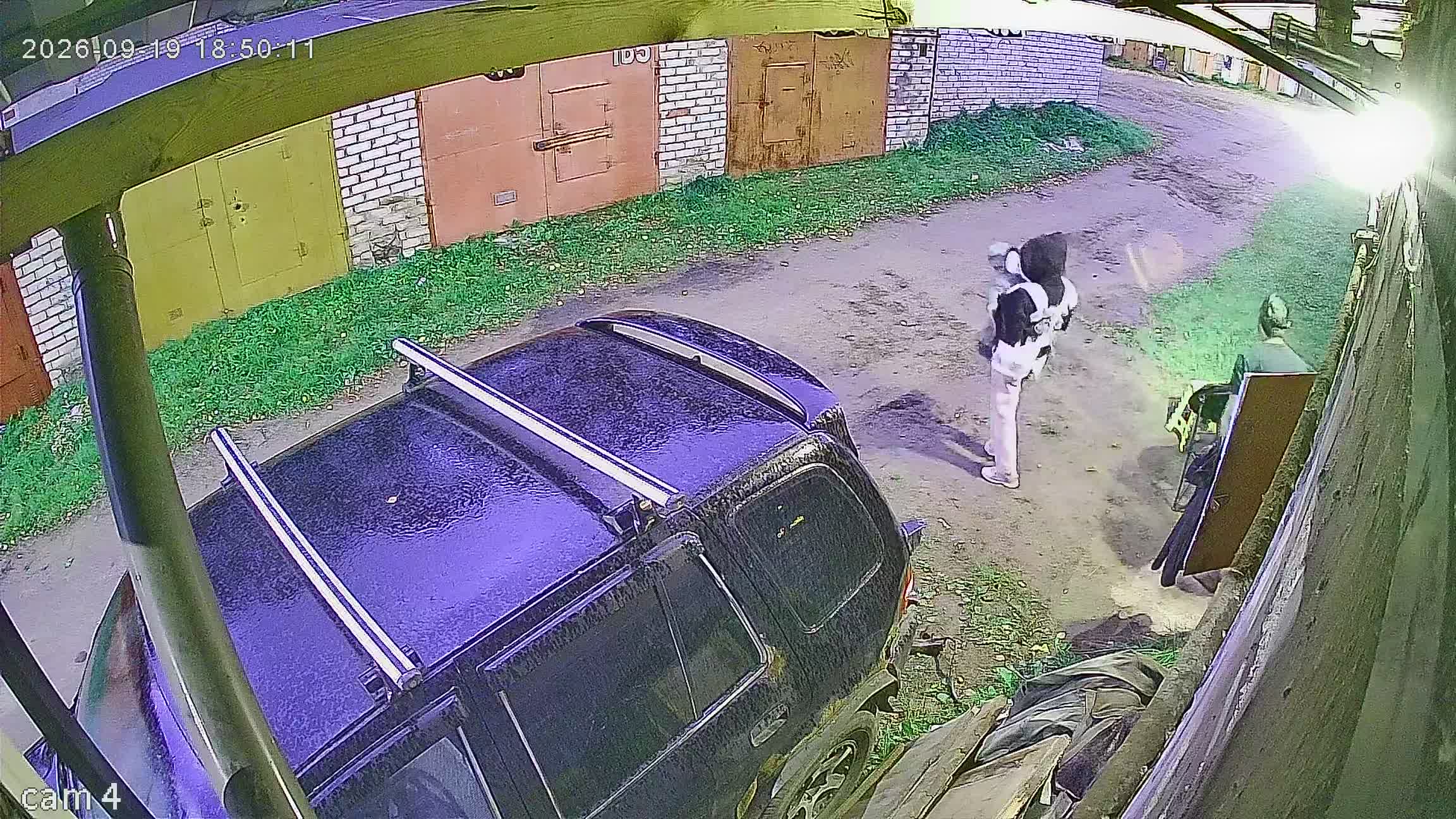 Камера 2 — 19.09.2026 15:50:13