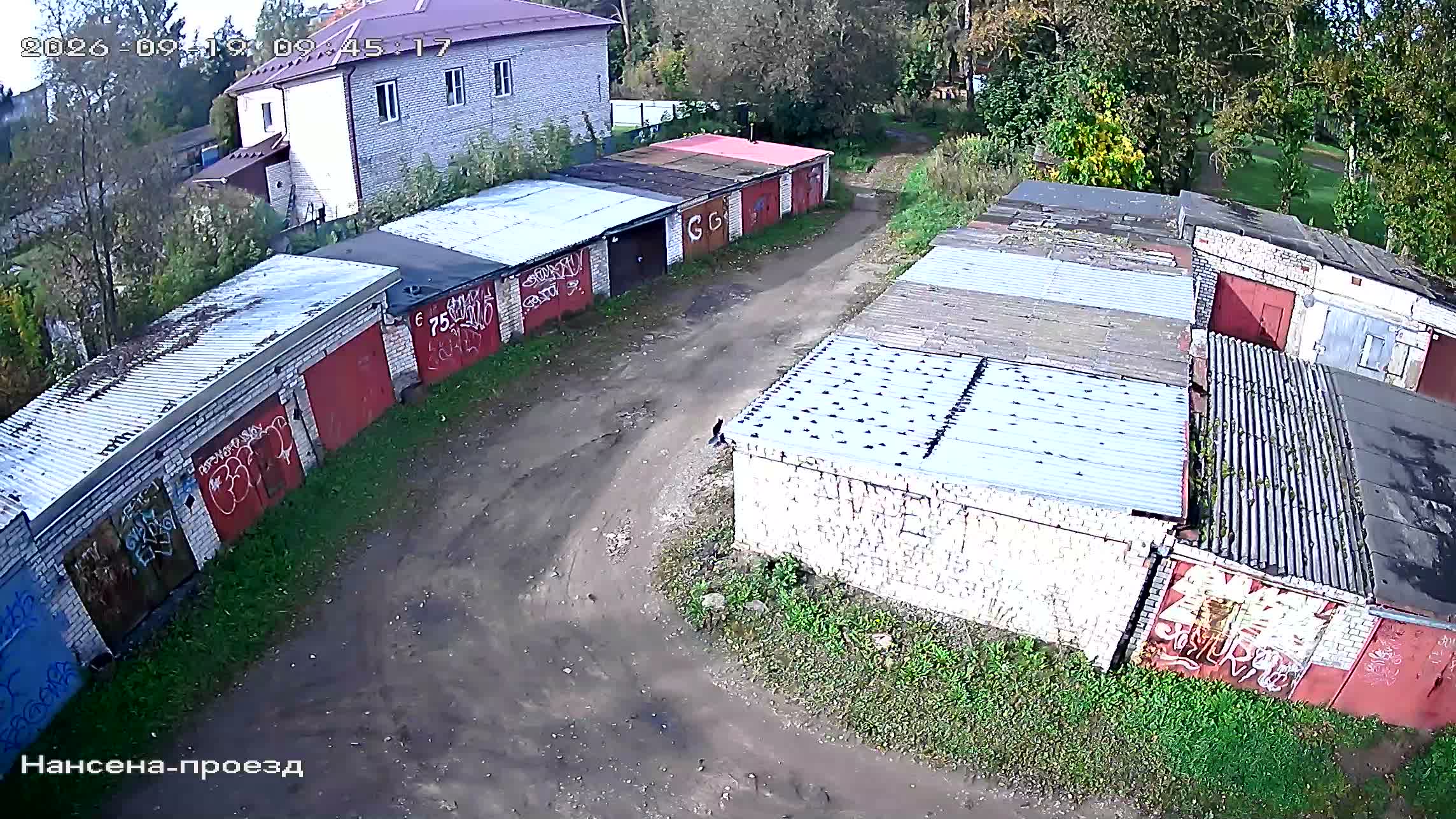 Камера 3 — 19.09.2026 06:45:16