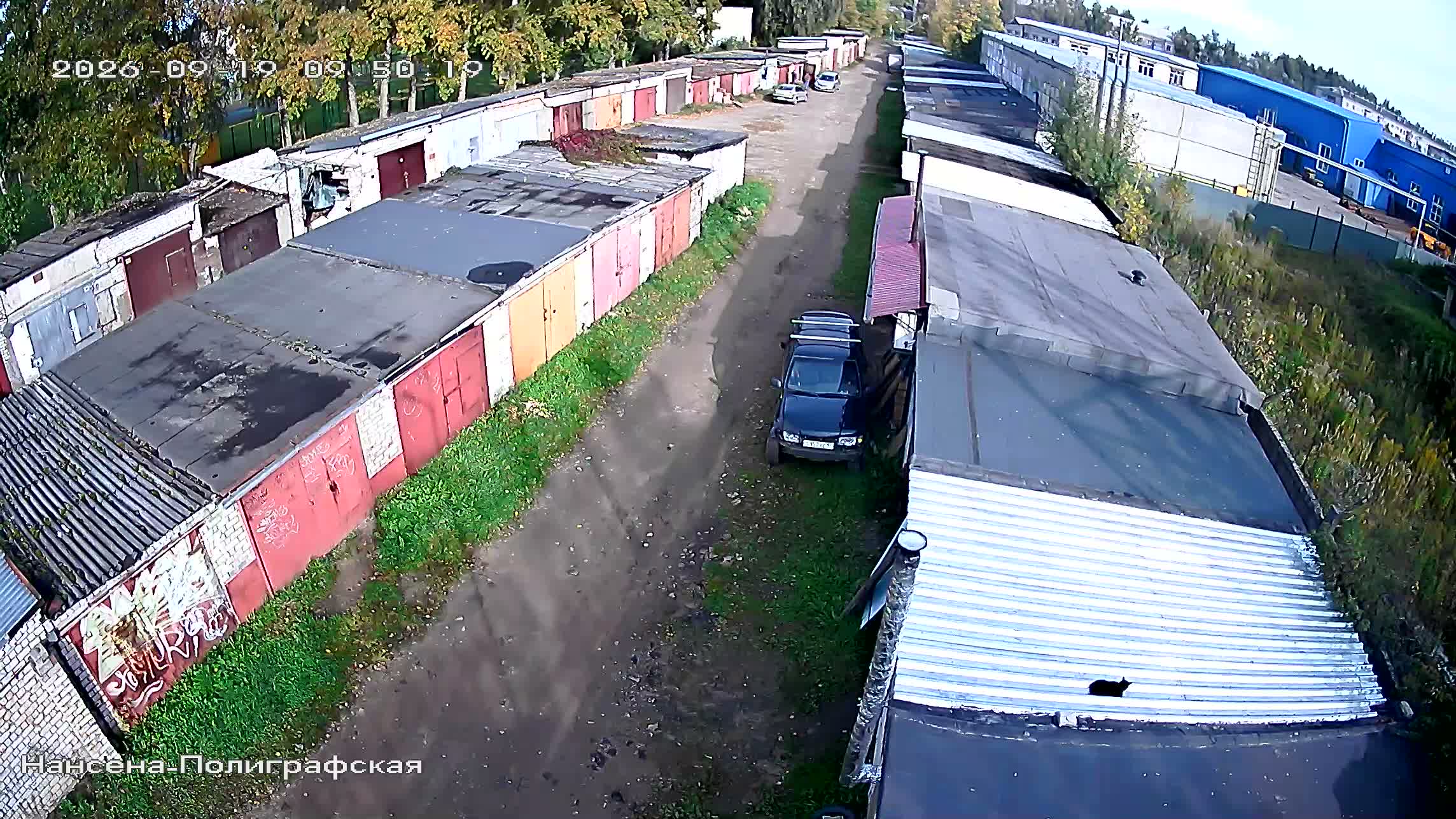 Камера 4 — 19.09.2026 06:50:19
