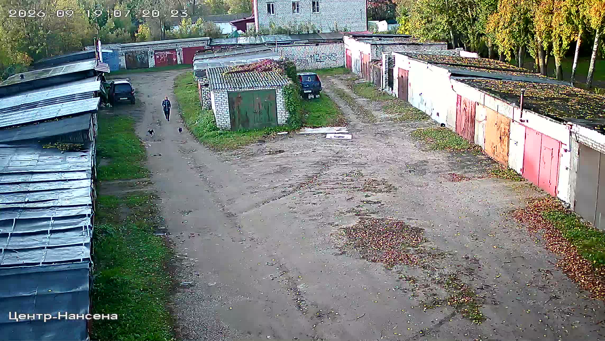 Камера 5 — 19.09.2026 04:20:23