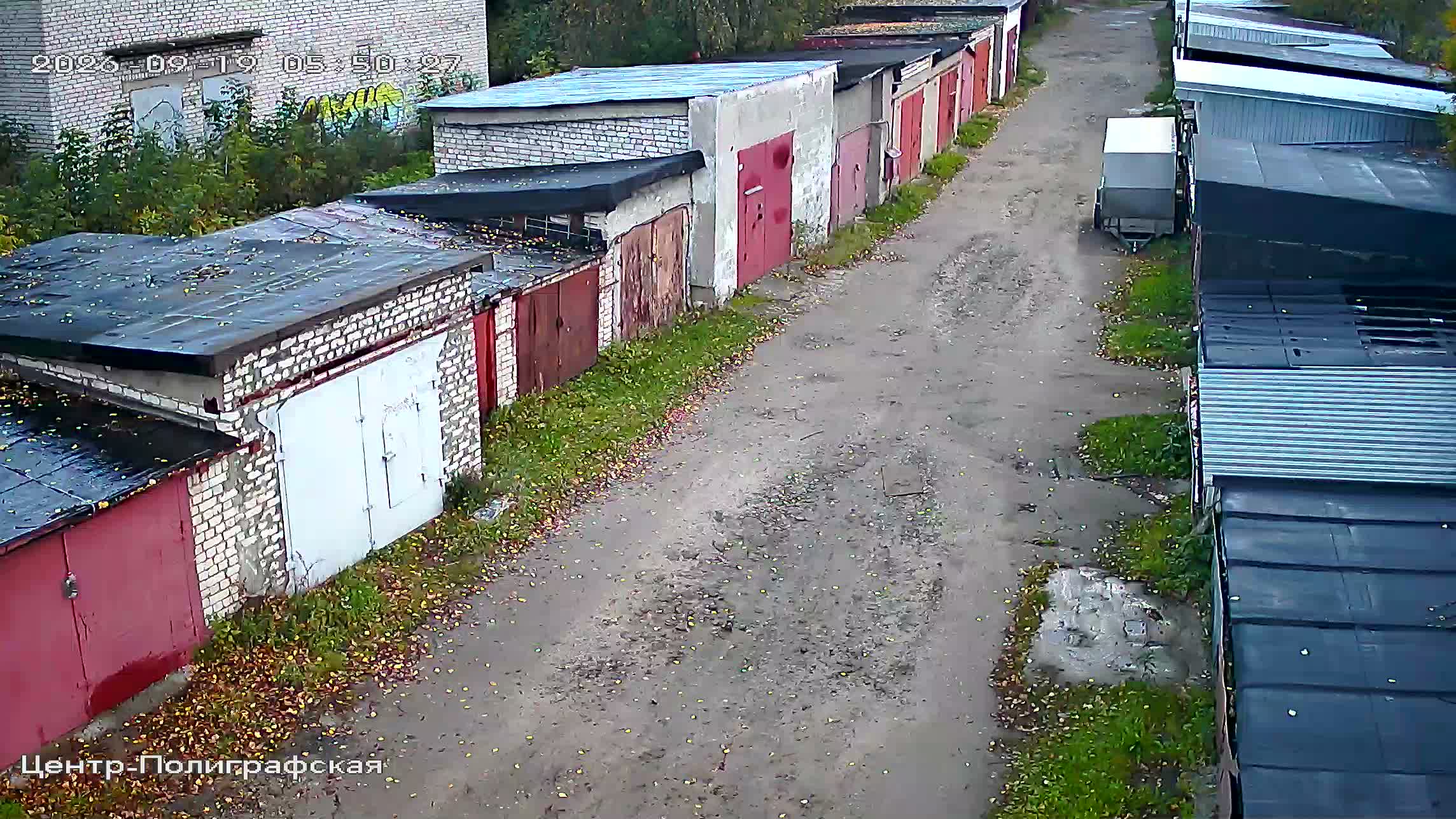 Камера 6 — 19.09.2026 02:50:29