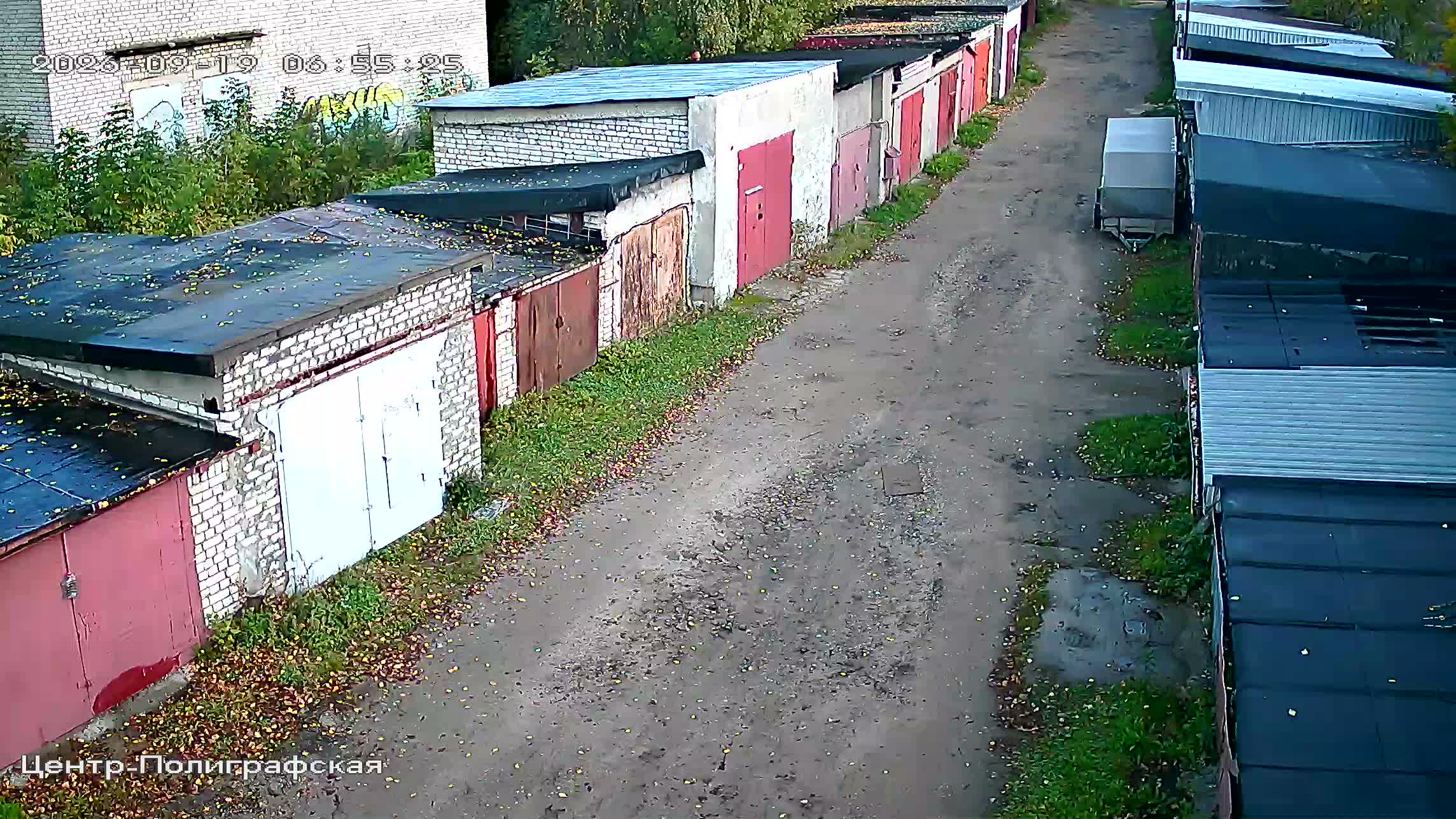 Камера 6 — 19.09.2026 03:55:27