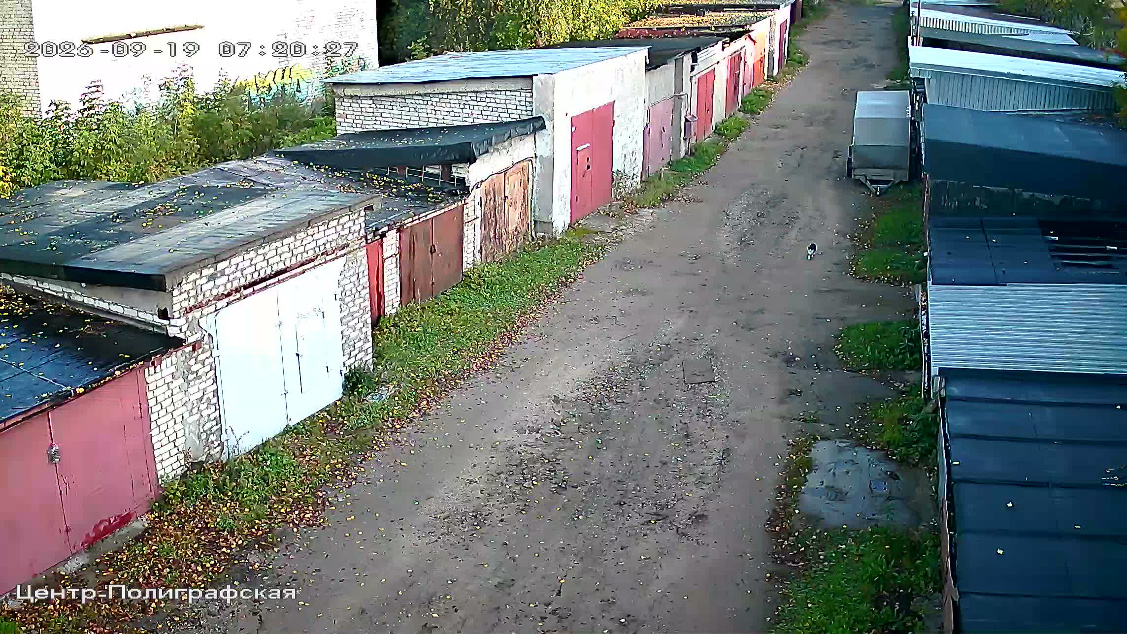 Камера 6 — 19.09.2026 04:20:28