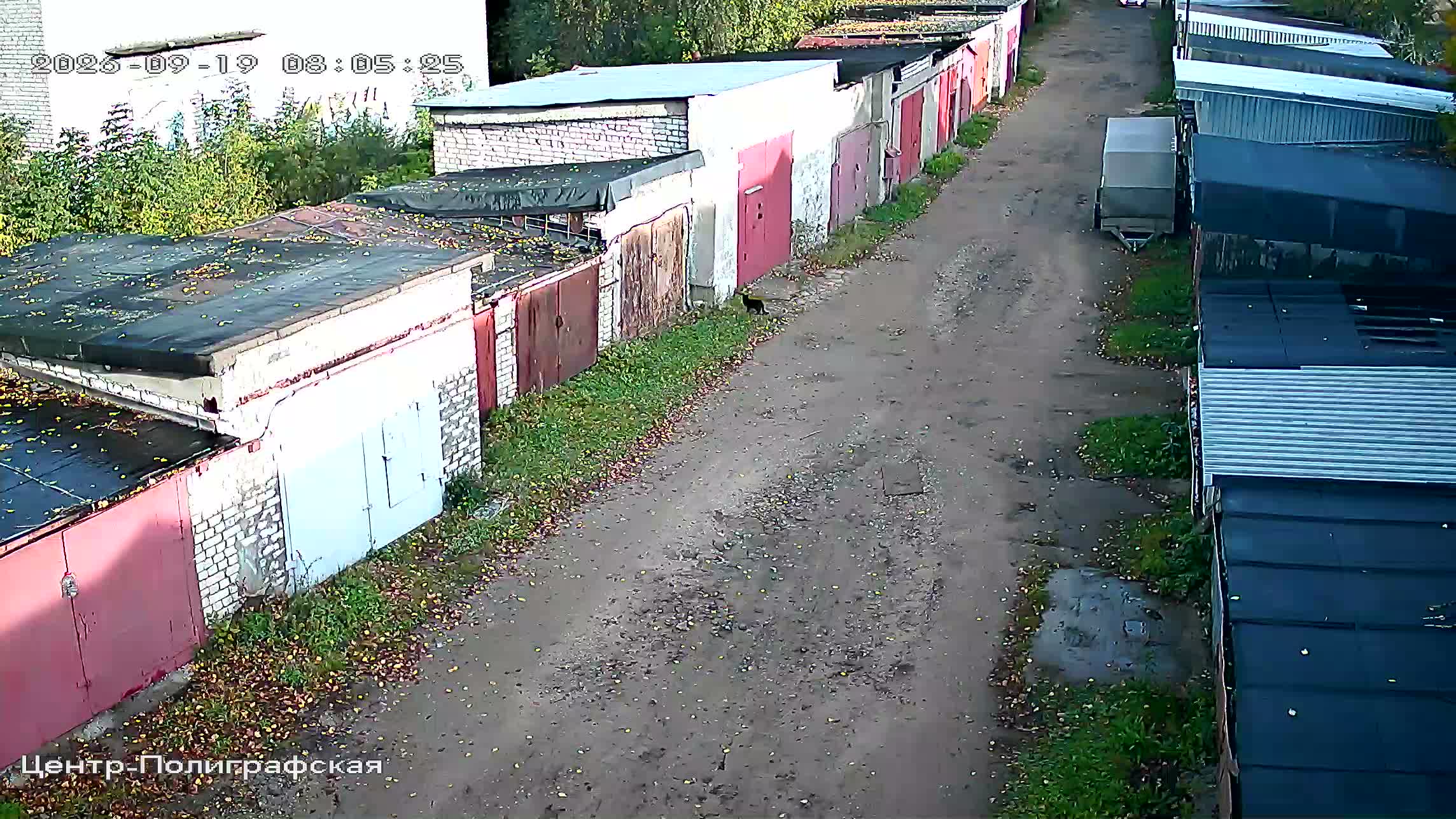 Камера 6 — 19.09.2026 05:05:28