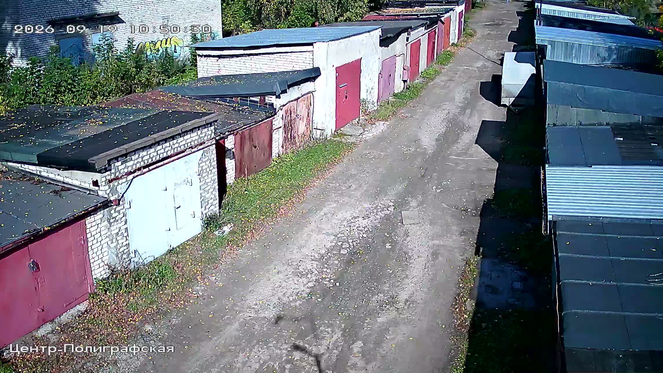 Камера 6 — 19.09.2026 07:50:31