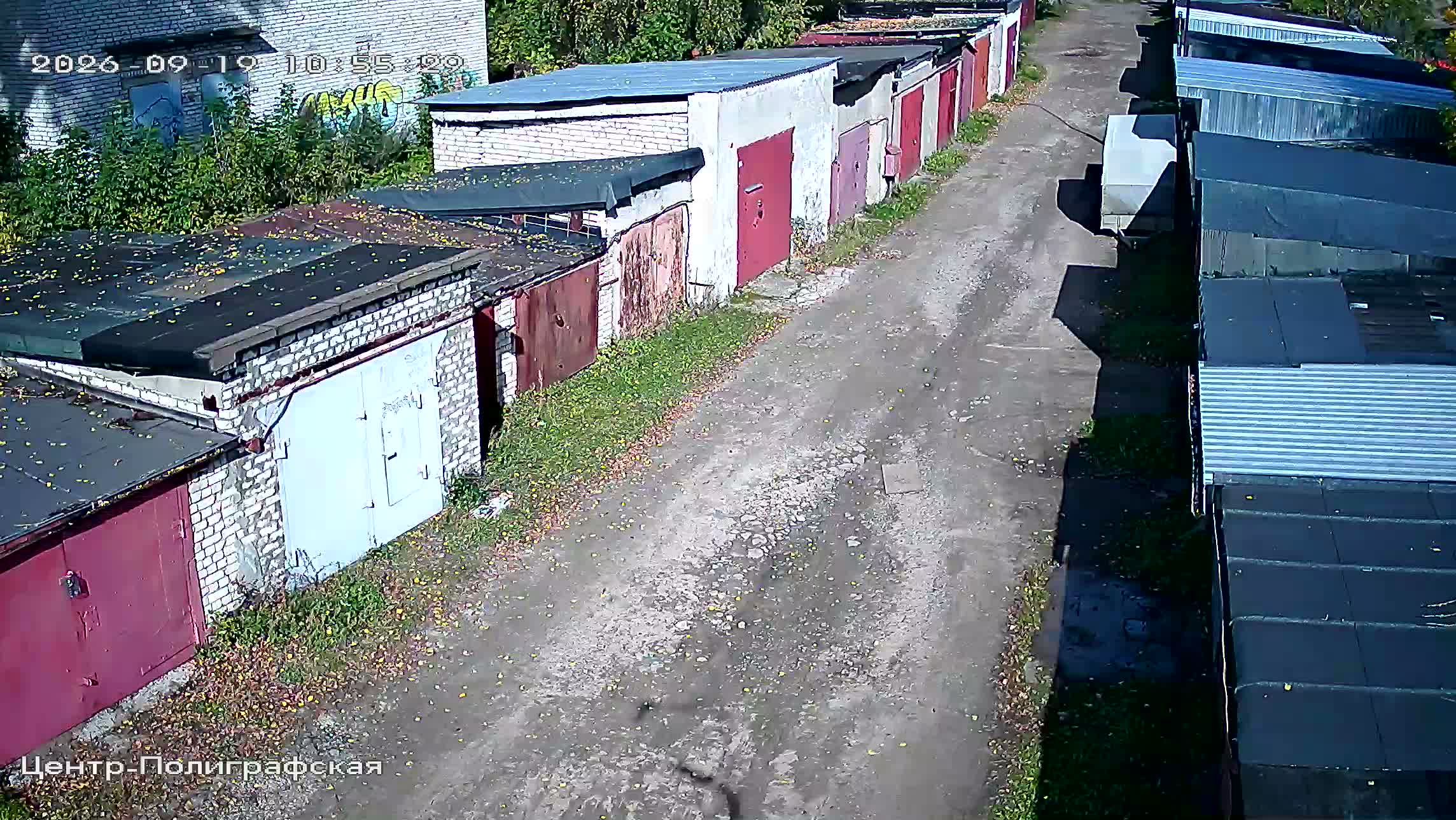 Камера 6 — 19.09.2026 07:55:30
