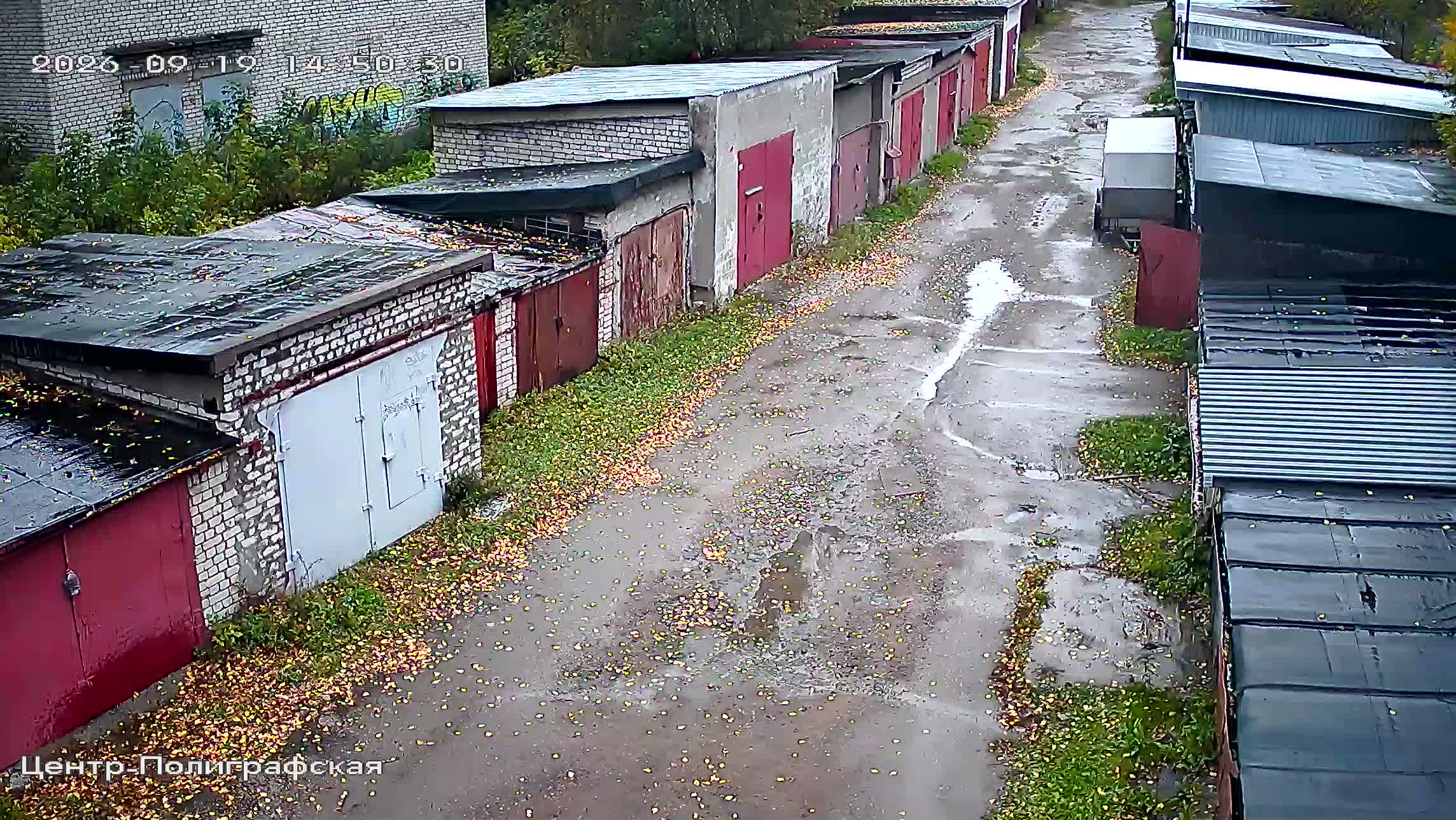 Камера 6 — 19.09.2026 11:50:31