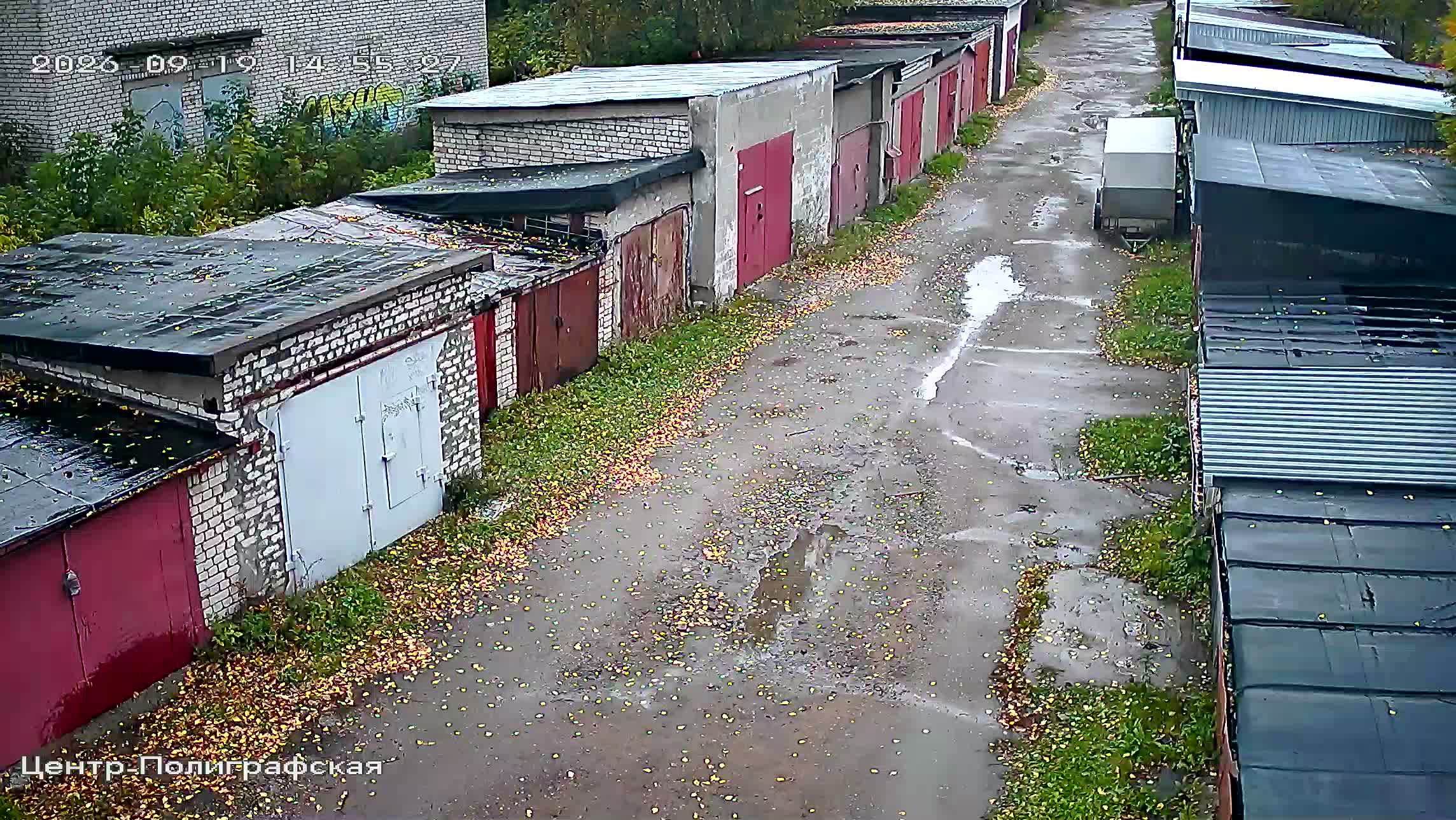 Камера 6 — 19.09.2026 11:55:28