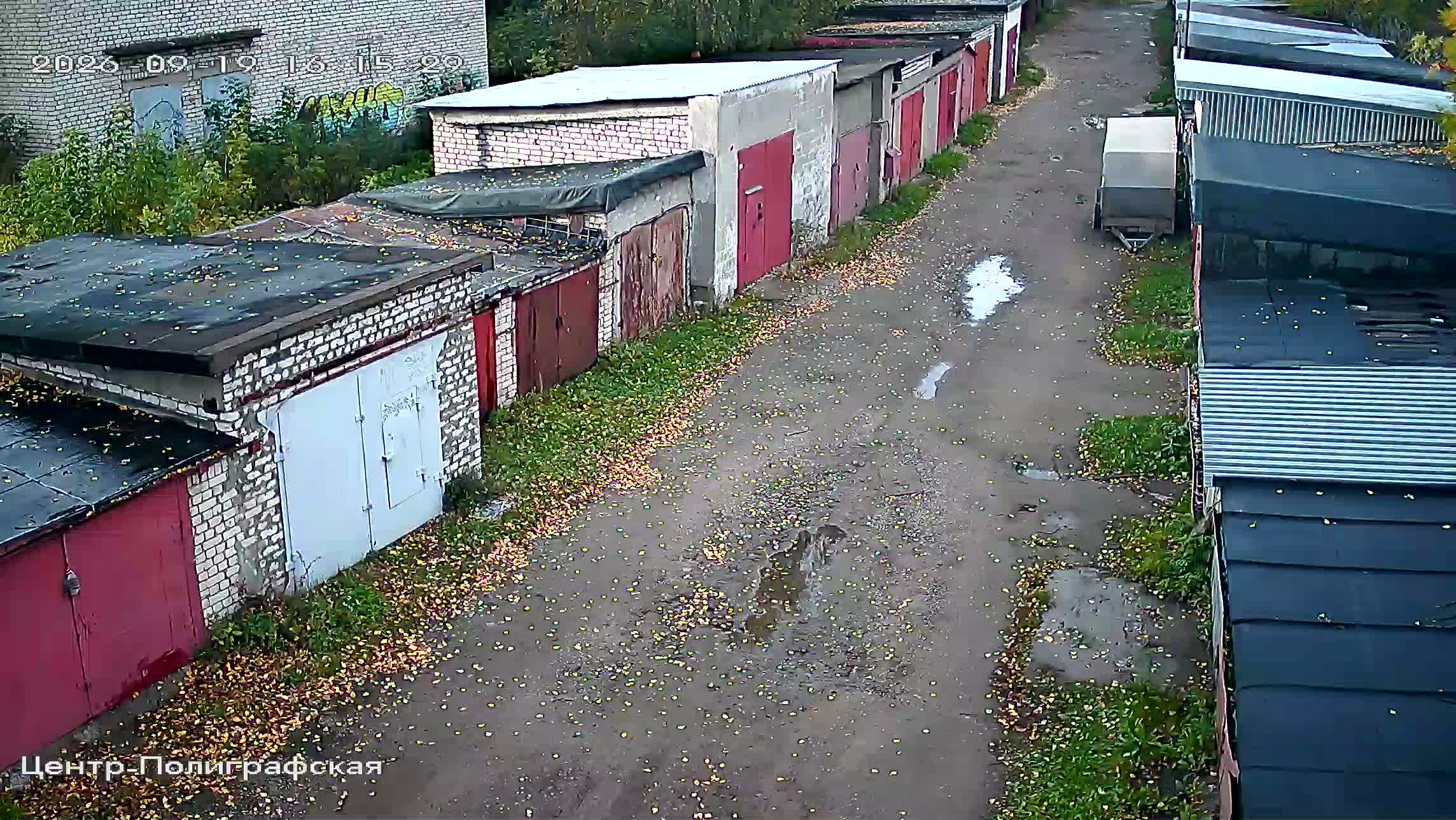 Камера 6 — 19.09.2026 13:15:28