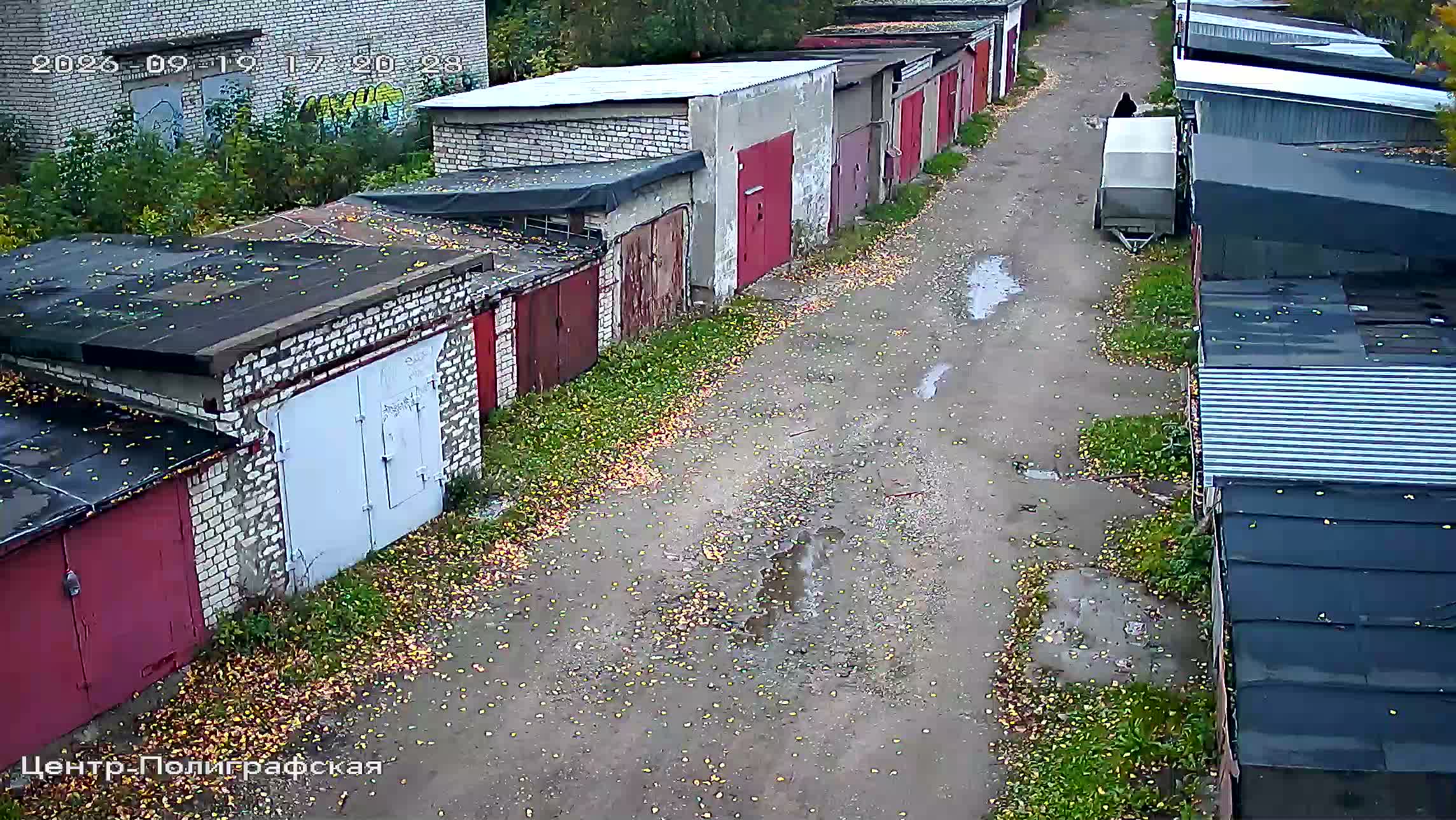 Камера 6 — 19.09.2026 14:20:29