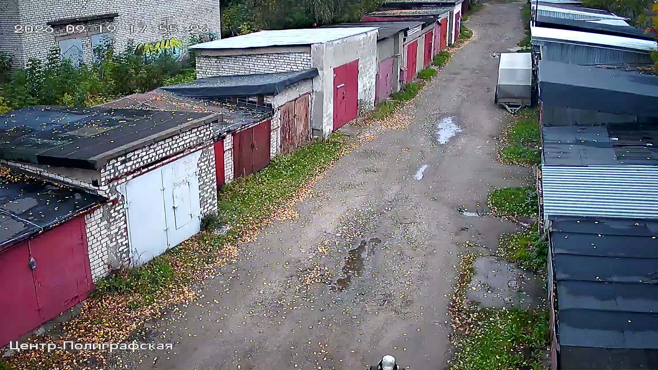 Камера 6 — 19.09.2026 14:55:31