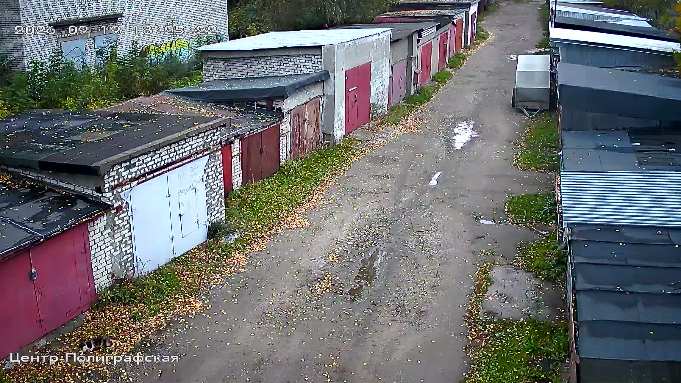 Камера 6 — 19.09.2026 15:25:27